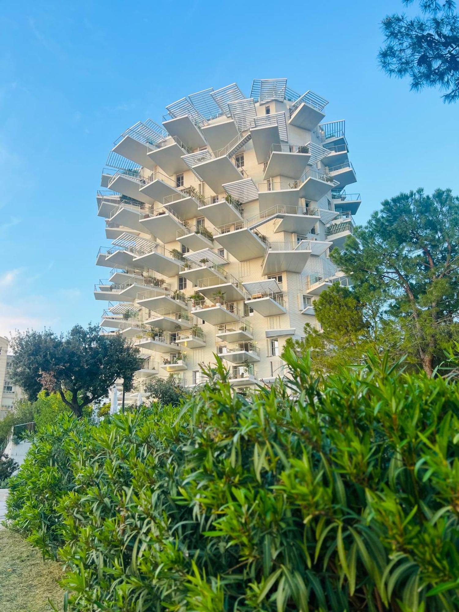 Toit-terrasse Avec Vue Magnifique Sur Appartement Montpellier